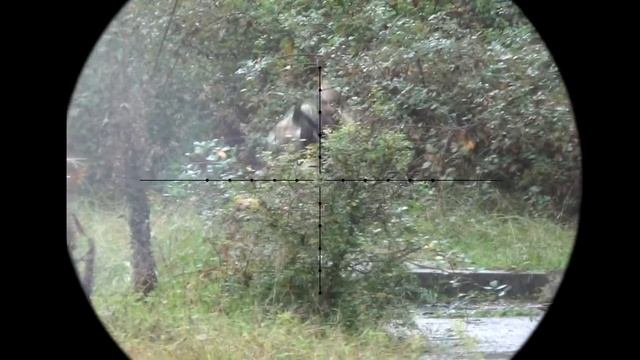Дождь. Страйкбол в Сочи. Airsoft Sniper.
