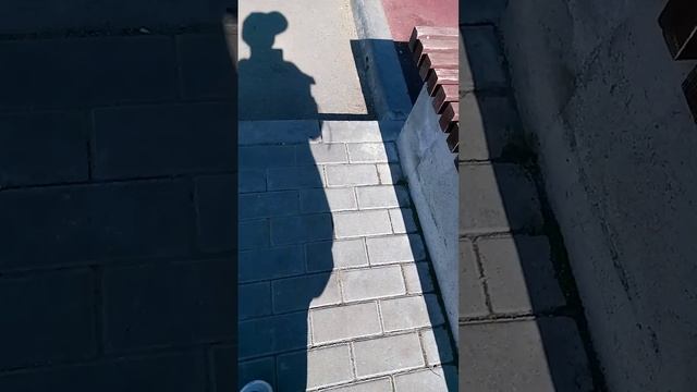 1000041174.mp4