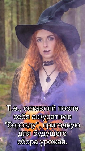 Стрелец: ежедневный персональный гороскоп на 14 Января