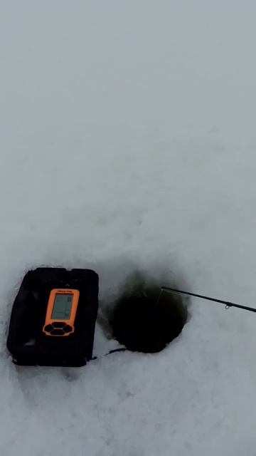 секрет 😁 #рыбалка #fishing