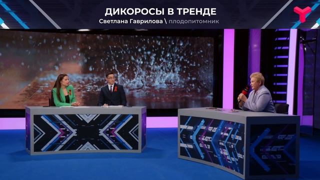 Голубика, клюква, брусника