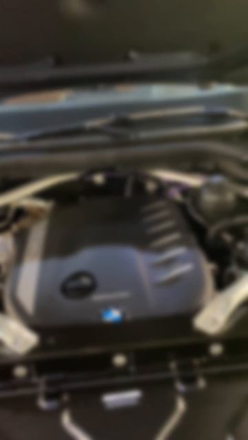 Регулярная мойка двигателя и подкапотного пространства BMWX7  #bmwx7  #мойкадвигателя   #bmw  #сзао