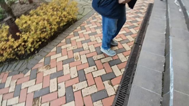 VID_20250510_191256.mp4