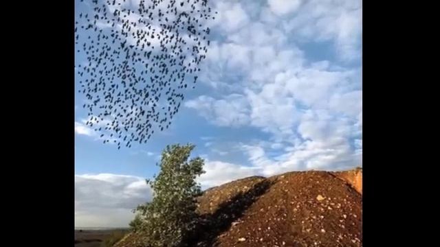 Есть места на Планете, где живут Люди - сделаные из Железа ! ...