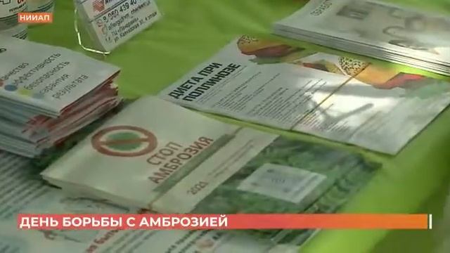 День борьбы с амброзией! Ростов, 11 июня 2021