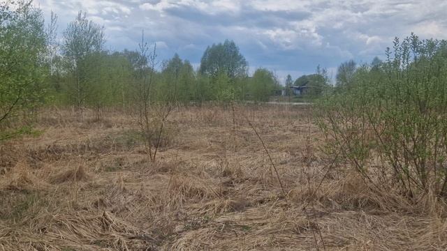 З/у с к. н. 50:28:0120120:500, расположенный по адресу: МО, г. о. Домодедово, д. Коченягино