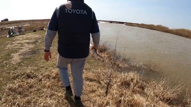 ТРОФЕЙНЫЕ НАЛИМ, ЯЗЬ И ЛЕЩ ГНУТ УДОЧКИ НА НУРЕ. ОТКРЫТИ