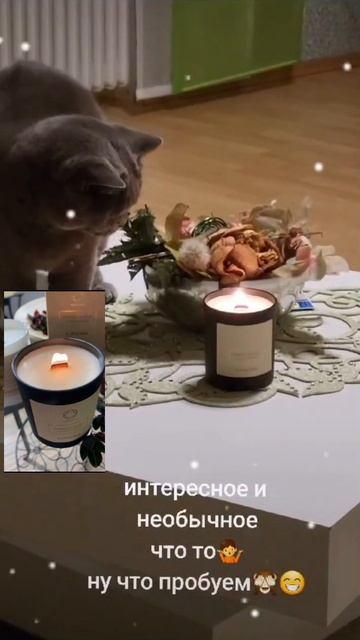 Костер?.. Камин?..  Ааа!!!  Свеча!!! Трещит классно!!!