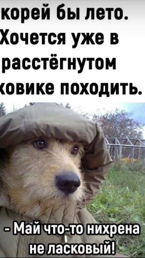 вот те и бабушка Юрьев день 13 мая 2025