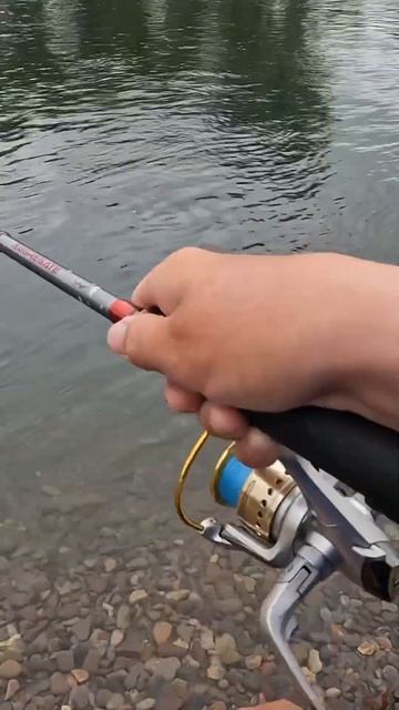 Ловля Кеты и горбуши на Камчатке #камчатка #fishing #лосос?