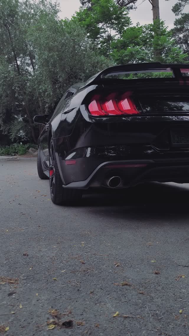 Mustang GT