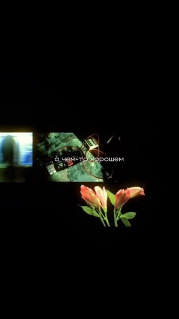 Скажи мне / 15.05