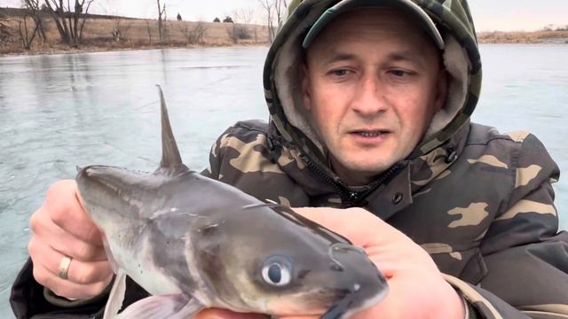 Во Бог послал поклевочки! Паравоз! Возе лунок как «мед?