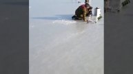 Рыбалка ползком Газета Балаково