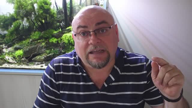 Сойл или Песок Аквариумистика или Акваскейпинг. Михаил Непорожнев.