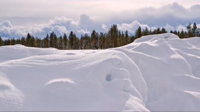 Зимняя неописуемая красота Печорского р-на