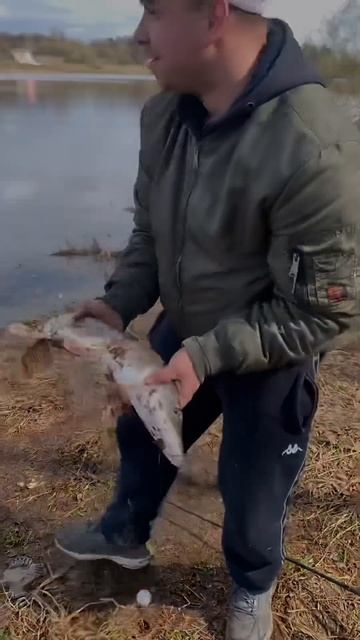 Первая пошла)Сезон открыт щука 1560 #coolfishing #рыбалка #кле?