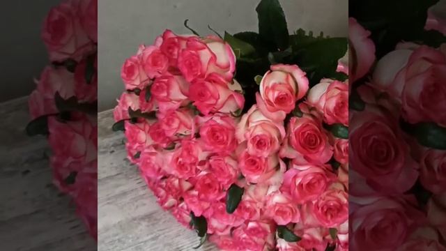 Букет из 51 бело-розовой розы Джумилия 50 см "Романтическая свежесть"