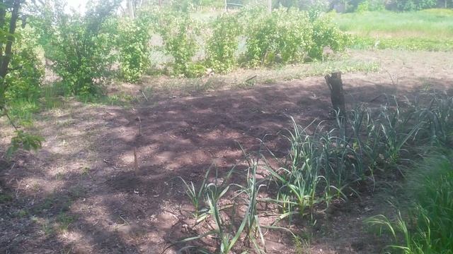 VID_20250506_142750