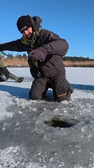 САЗАН Підняв кивок #shorts #сазан #рибалка