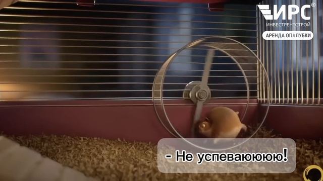 Где взять опалубку?