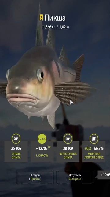 Русская Рыбалка 4 Норвежское море Пикша 2 Трофея #shorts #pp