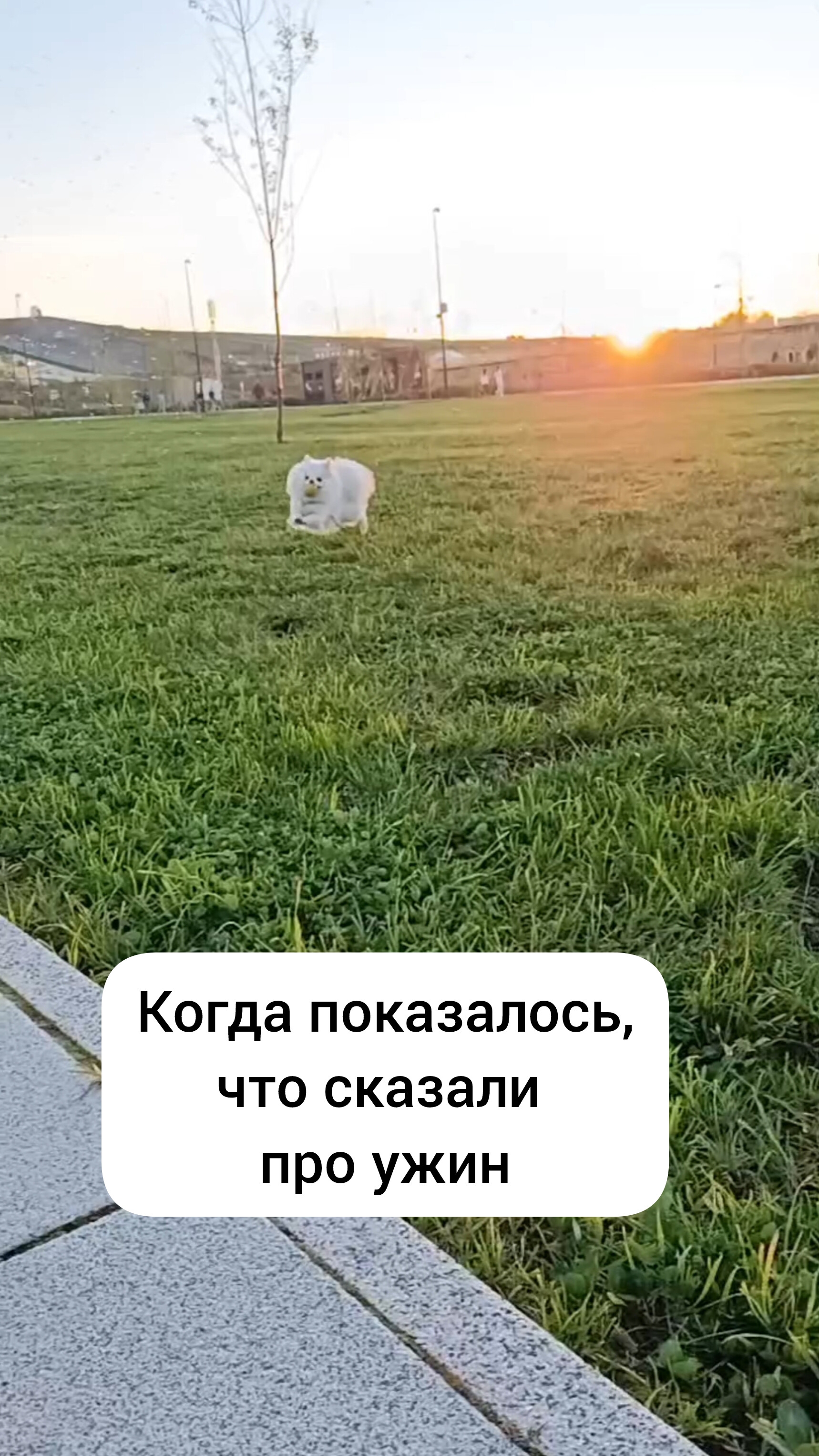 Когда позвали кушать