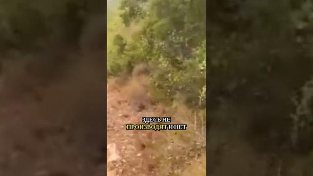 Представьте место, где исчезает тревога и приходит ясность сознания