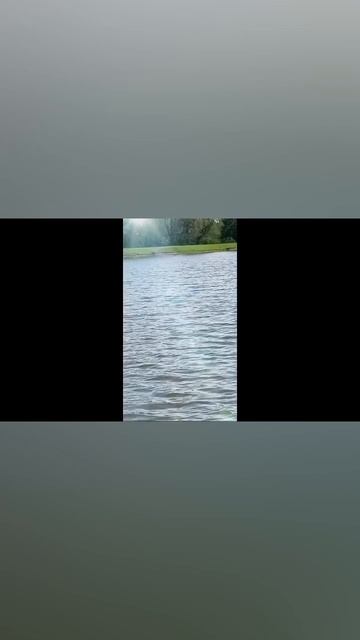 Спасибо ПАПЕ за рыбалку #рыбалка #спасибопапе #shortvideo #л
