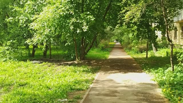Катаюсь на велосипеде. 24 мая 2023. Видео №2.