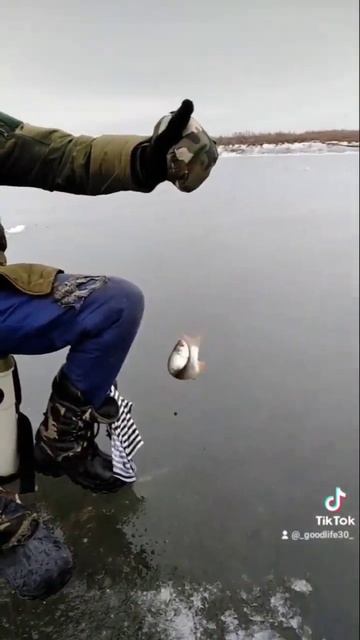Астраханская рыбалка