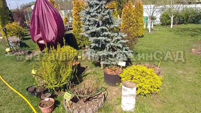 🌬Возвратные заморозки🤦♀️ что делать?