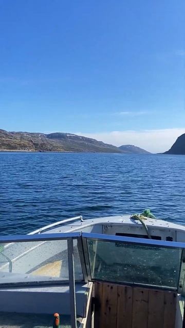 Морская рыбалка, Баренцево море #travel