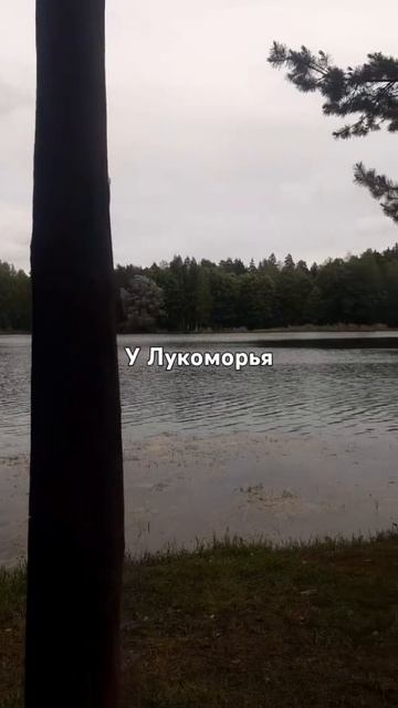 Respect #shorts Лукоморье, Новолукомльский карьер. Платный.