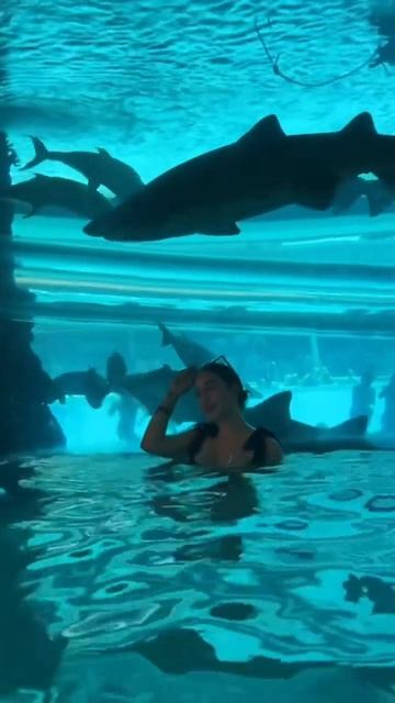 Невероятно красиво #красота #бассейн #море #пляж