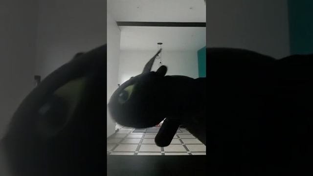 Беззубик танцует под песню арам-зам-зам реби до беби