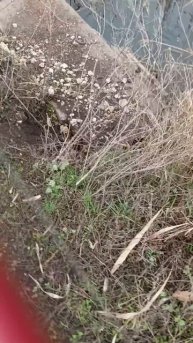 завтра будет новое видео про рыбалку на реке #рыбалка