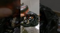 Бойл спиннинг Сазанов карбоновый #рыбалка #сазан #карп