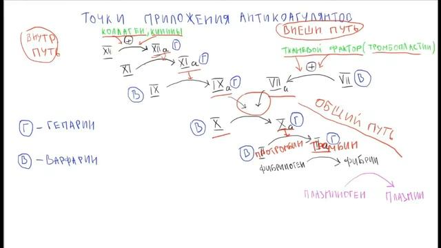 фармакология - Антикоагулянты (краткий обзор)