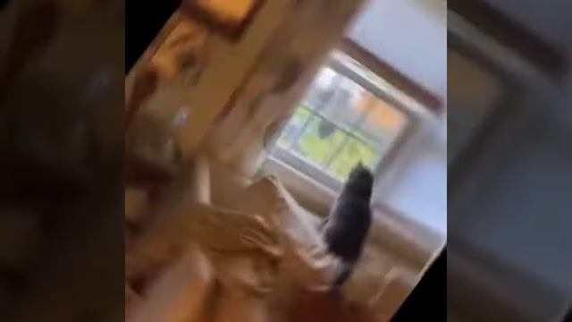 Это увлекательный был аттракцион