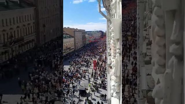 Бессмертный полк спб