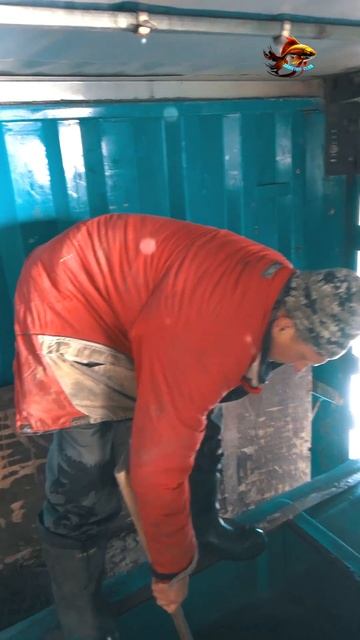 Получается всё что я слышу мне нравится Рыбалка Зарыб?