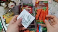 Какие сорта семян сажать в огороде часть (7)