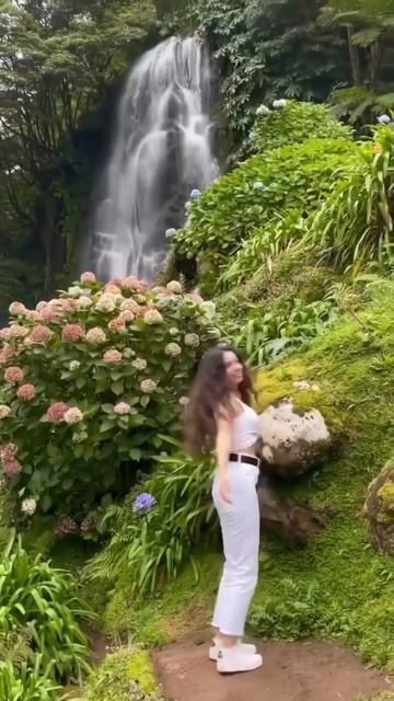 Великолепные гортензии #azores #hydrangeas #гортензия #hortensia #bea