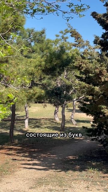 Просто слова #shorts