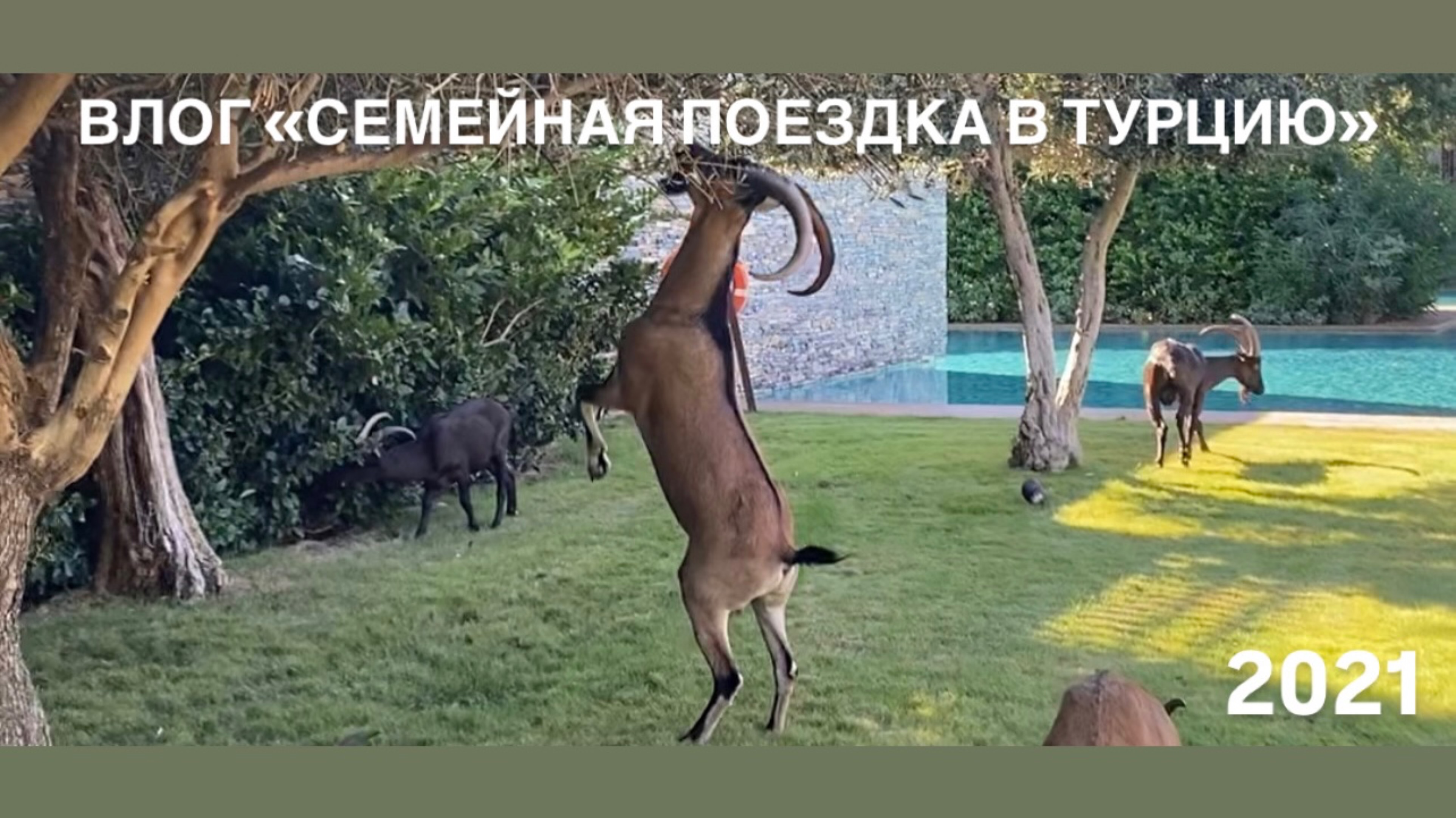 ВЛОГ «СЕМЕЙНАЯ ПОЕЗДКА В ТУРЦИЮ»