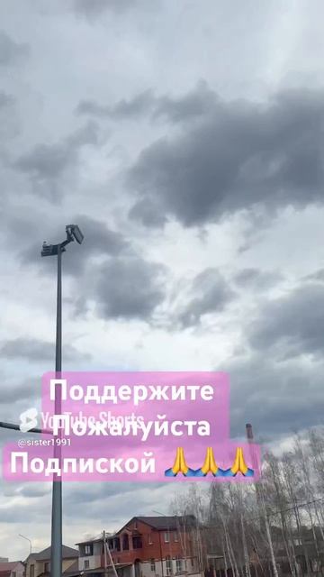 Бешеные чайки разорались #short #shorts #tiktok #tiktoktrending #yutshorts #топанонсы #рекомендации