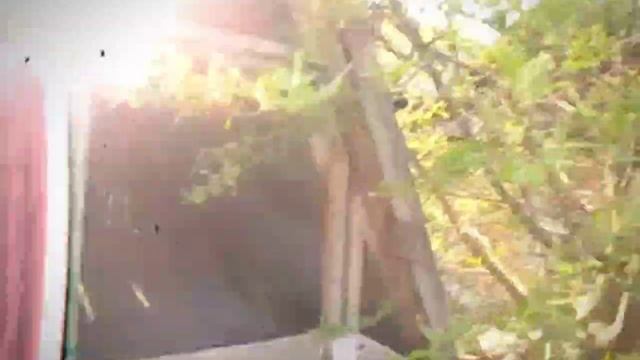 Заброшенная деревня превратилась в заброшенное кладбище.