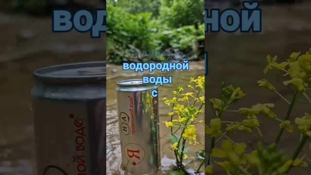 31 мая 2024 г.#вода #водородная #новости #продажа #отдых