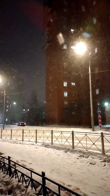 В Петербурге снова снежно. 25 декабря 2023.